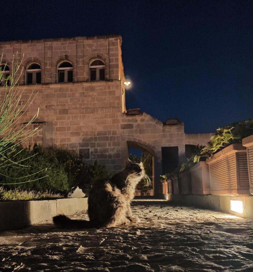 Torretta Ai Sassi Hotell Matera Eksteriør bilde